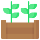 Raised Bed